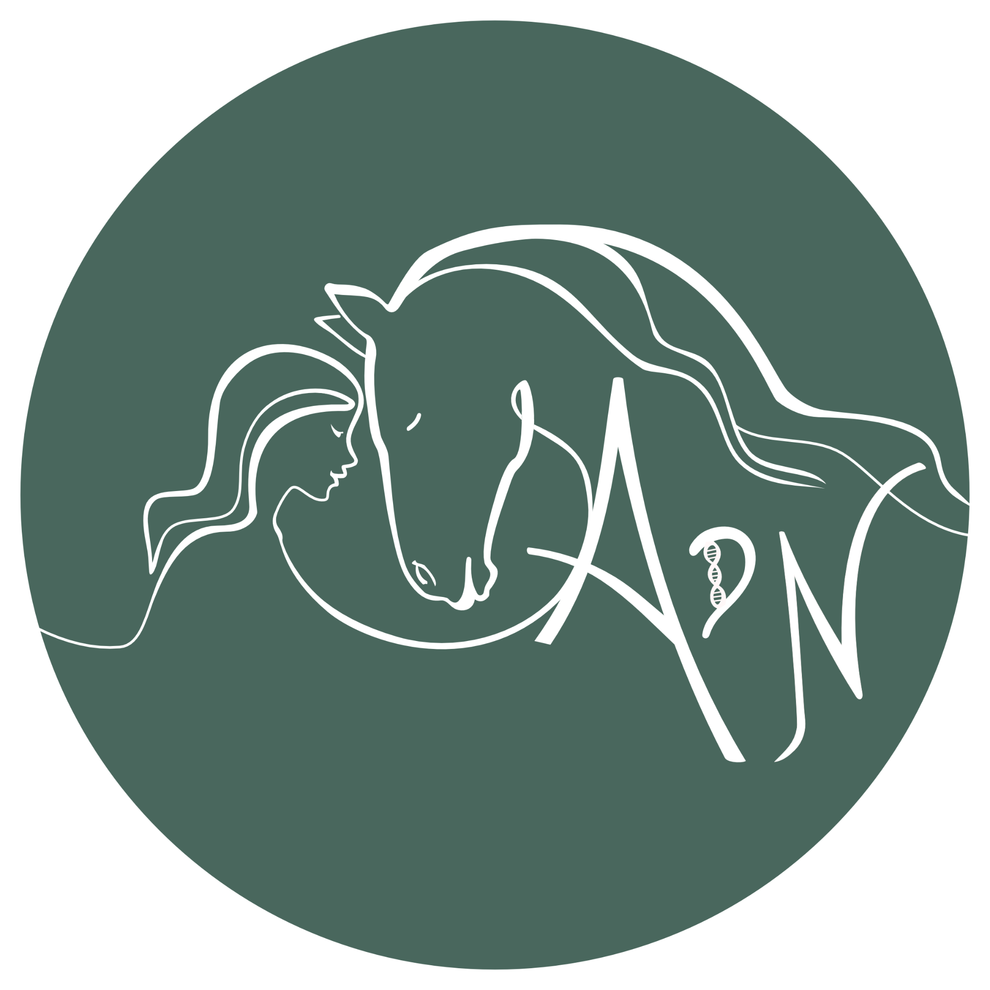 image0.png