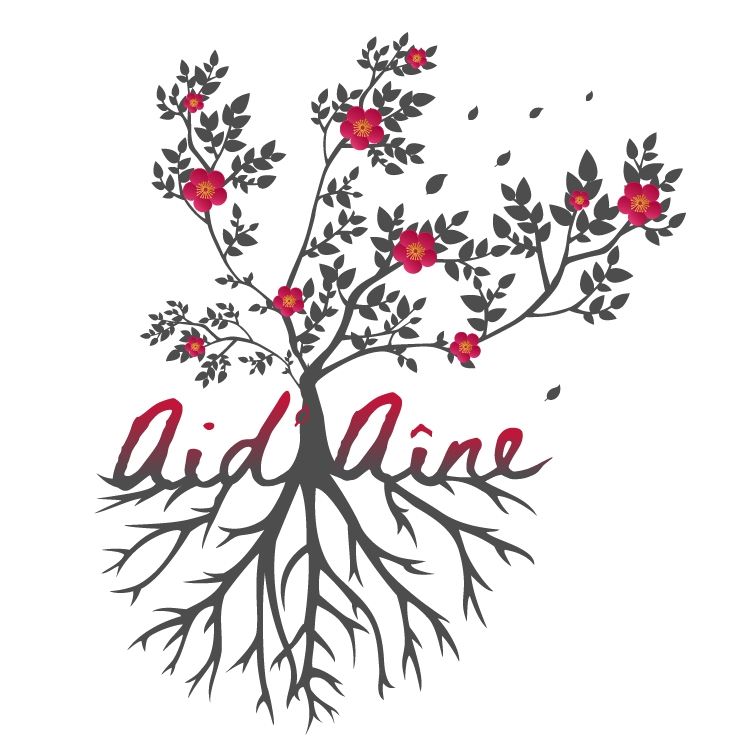 logo_aid_aine.jpg
