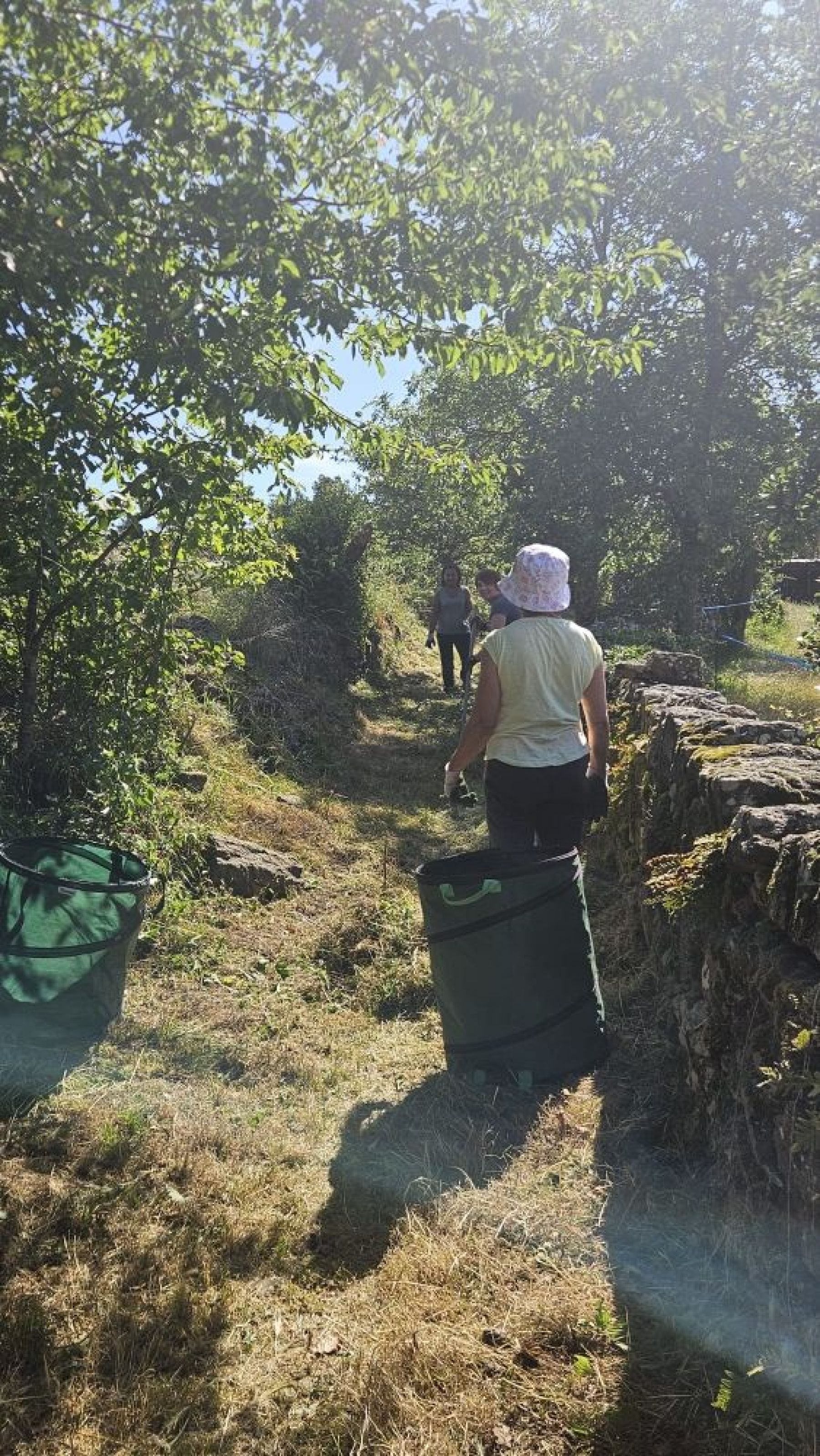 débroussaillage chemin des muletiers
