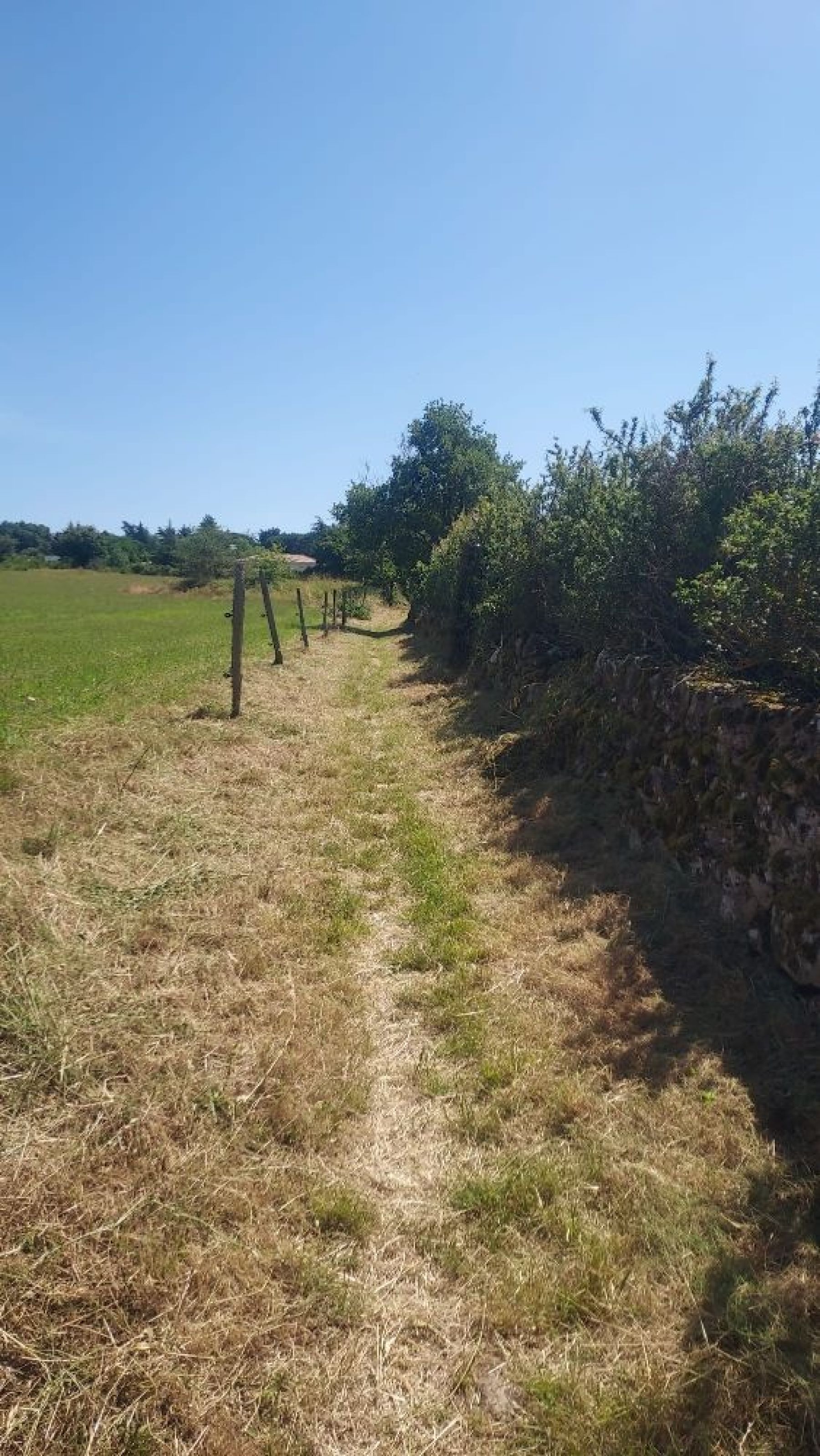 débroussaillage chemin du château de Mars