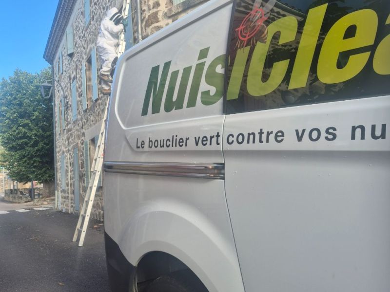 Attention les frelons s'installent !