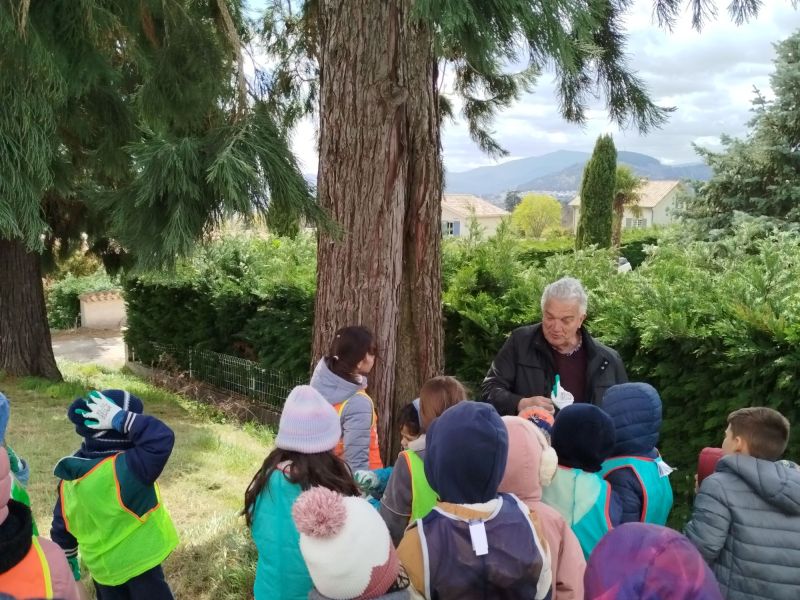 Plantation Montée des Séquoias