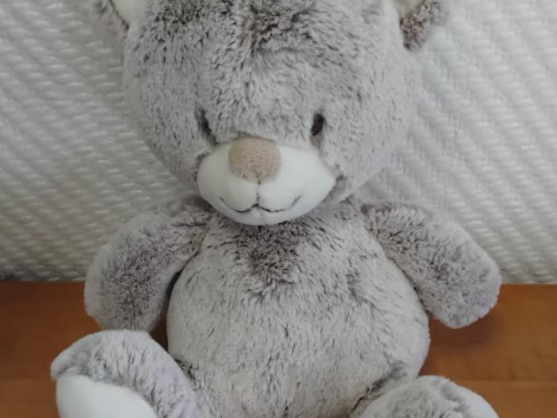 Doudou égaré !
