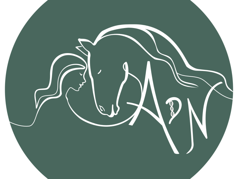 Porte ouverte de l’Association Du Novelty - ADN