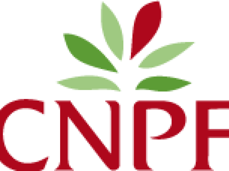 STAGE D'ETE adressé aux propriétaires forestiers