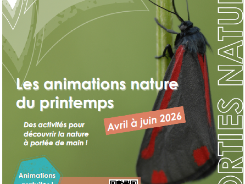 Animation nature du printemps !